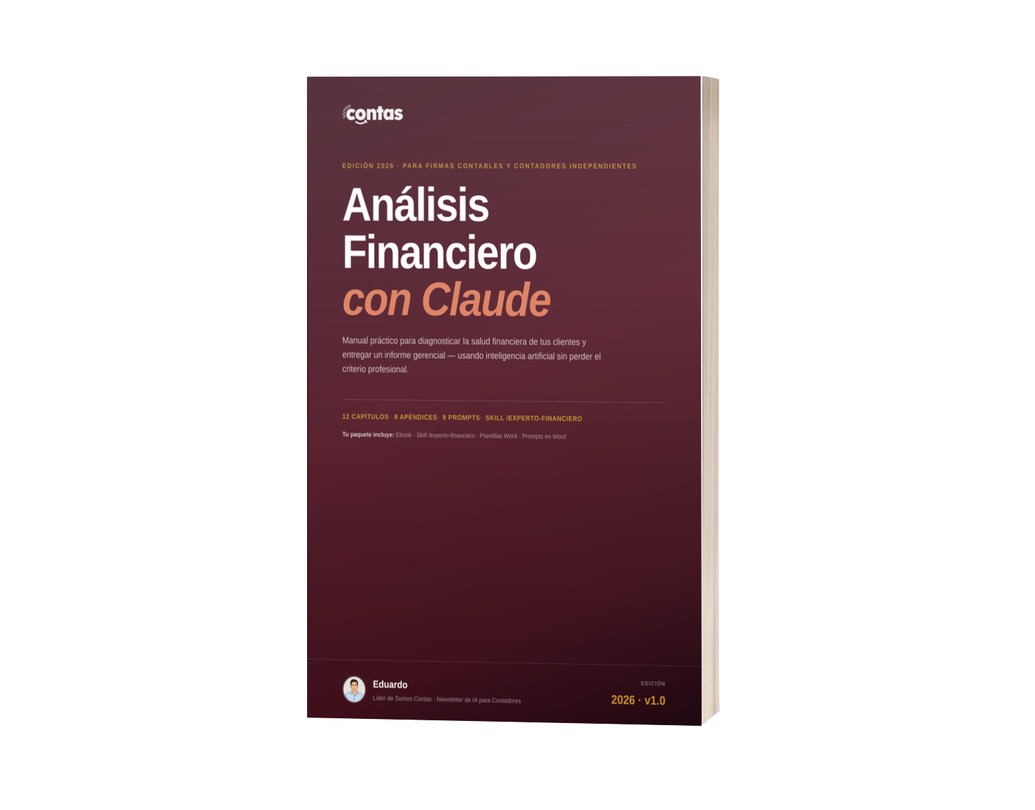 Análisis Financiero con Claude