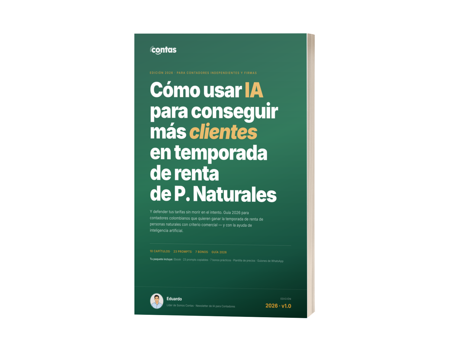 IA para Temporada de Renta — Somos Contas